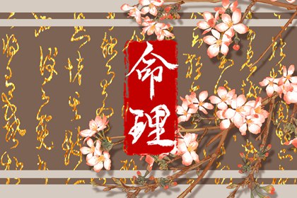 择吉老黄历皇历,择吉老皇历,择吉皇历