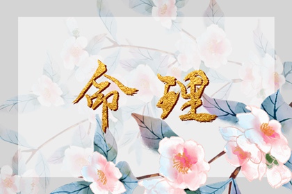 日历万年历查询 日历表2025年黄道吉日 万年历2025日历表